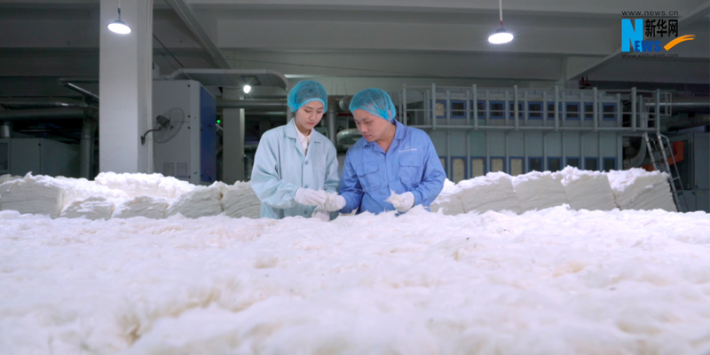 未标题-3.jpg 未标题-3.jpg