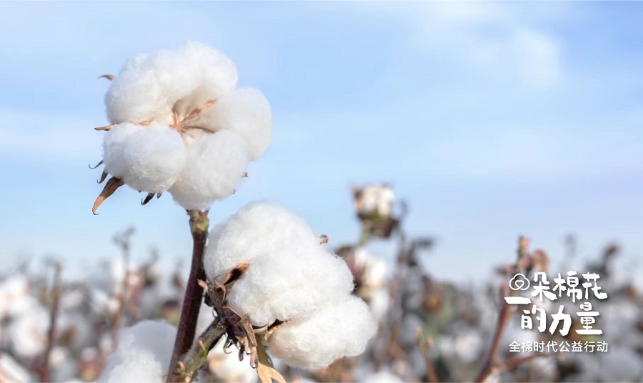 一朵棉花的力量05.jpg 一朵棉花的力量05.jpg