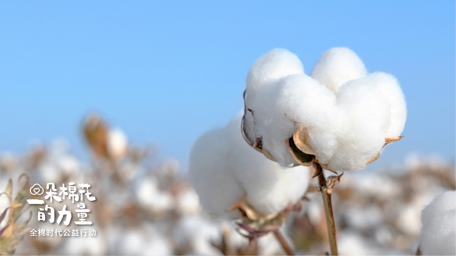全棉时代一朵棉花的力量05.jpg 全棉时代一朵棉花的力量05.jpg