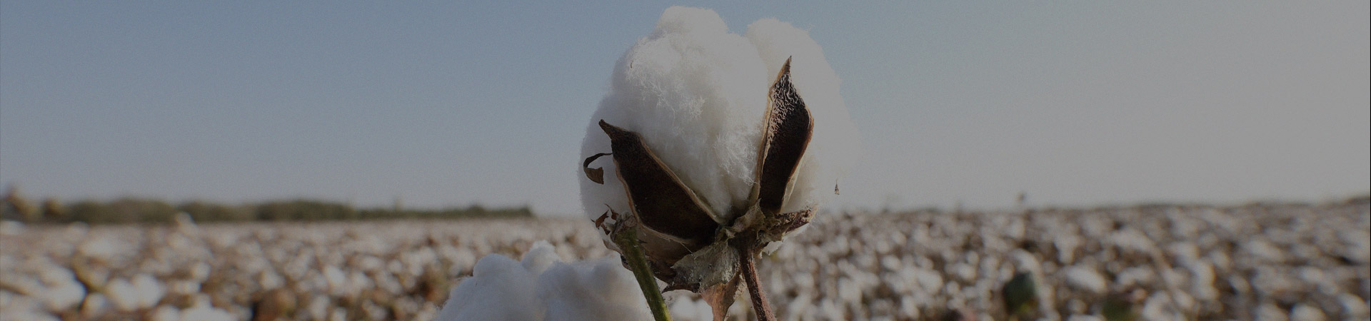 可持续行动探索