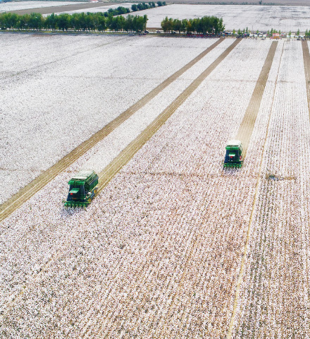 优越的保暖性、舒适性、透气性