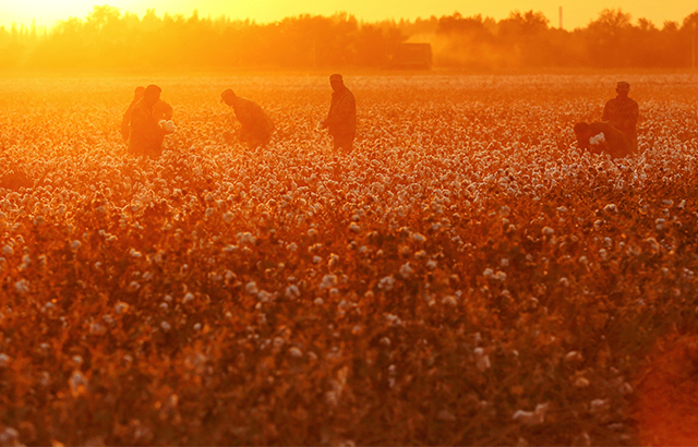 qczhu《夕阳西下》