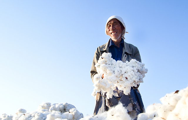 王振军《丰收了》