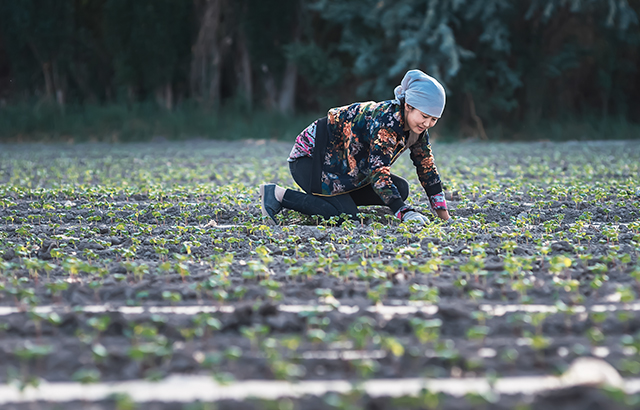 冷空气《看到希望》