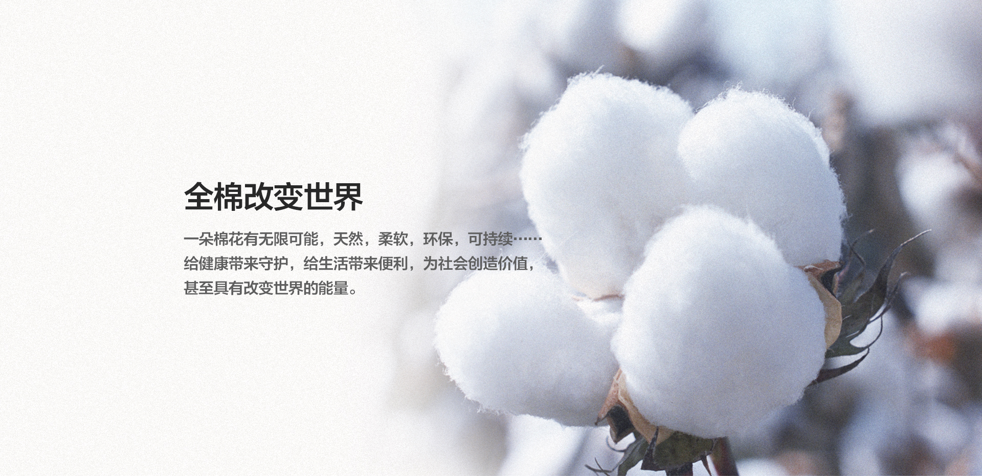 全棉时代品牌起源