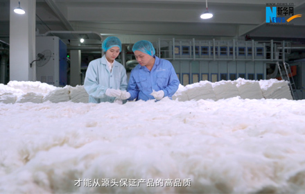 新华网探访全棉时代工厂