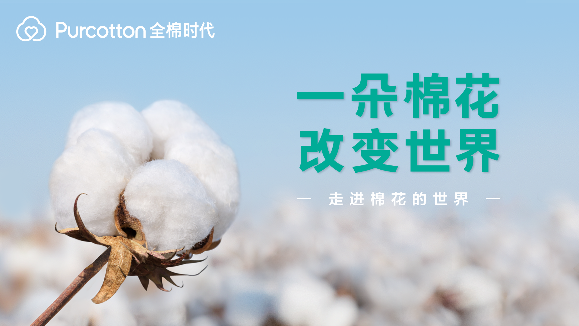 一朵棉花改变世界  全棉时代溯源纪录片上线